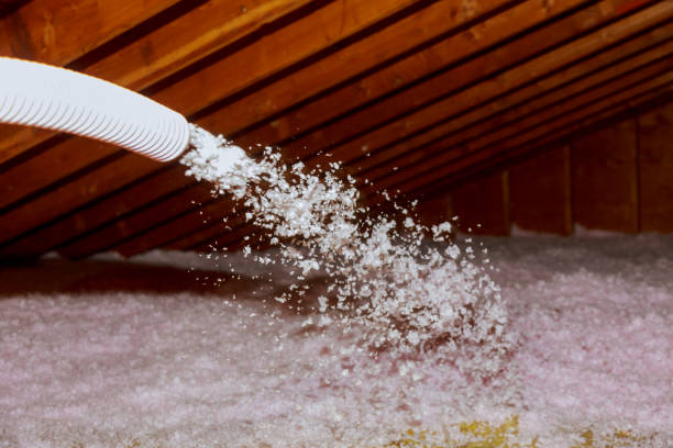 Best Residential Insulation in Maynardville, TN