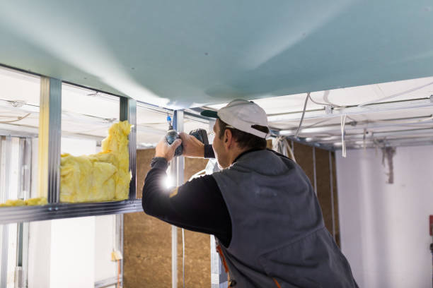 Best Insulation Materials and Products in Maynardville, TN