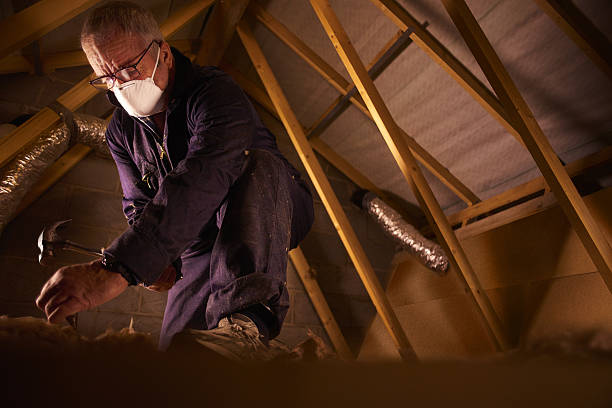Best Specialty Insulation in Maynardville, TN